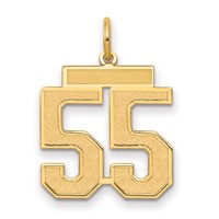 14K Yellow Gold Medium Satin Number 55 Charm view 1