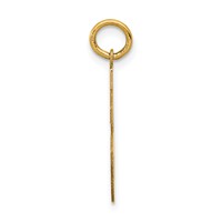 14K Yellow Gold Medium Satin Number 56 Charm view 2