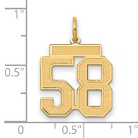 14K Yellow Gold Medium Satin Number 58 Charm view 2