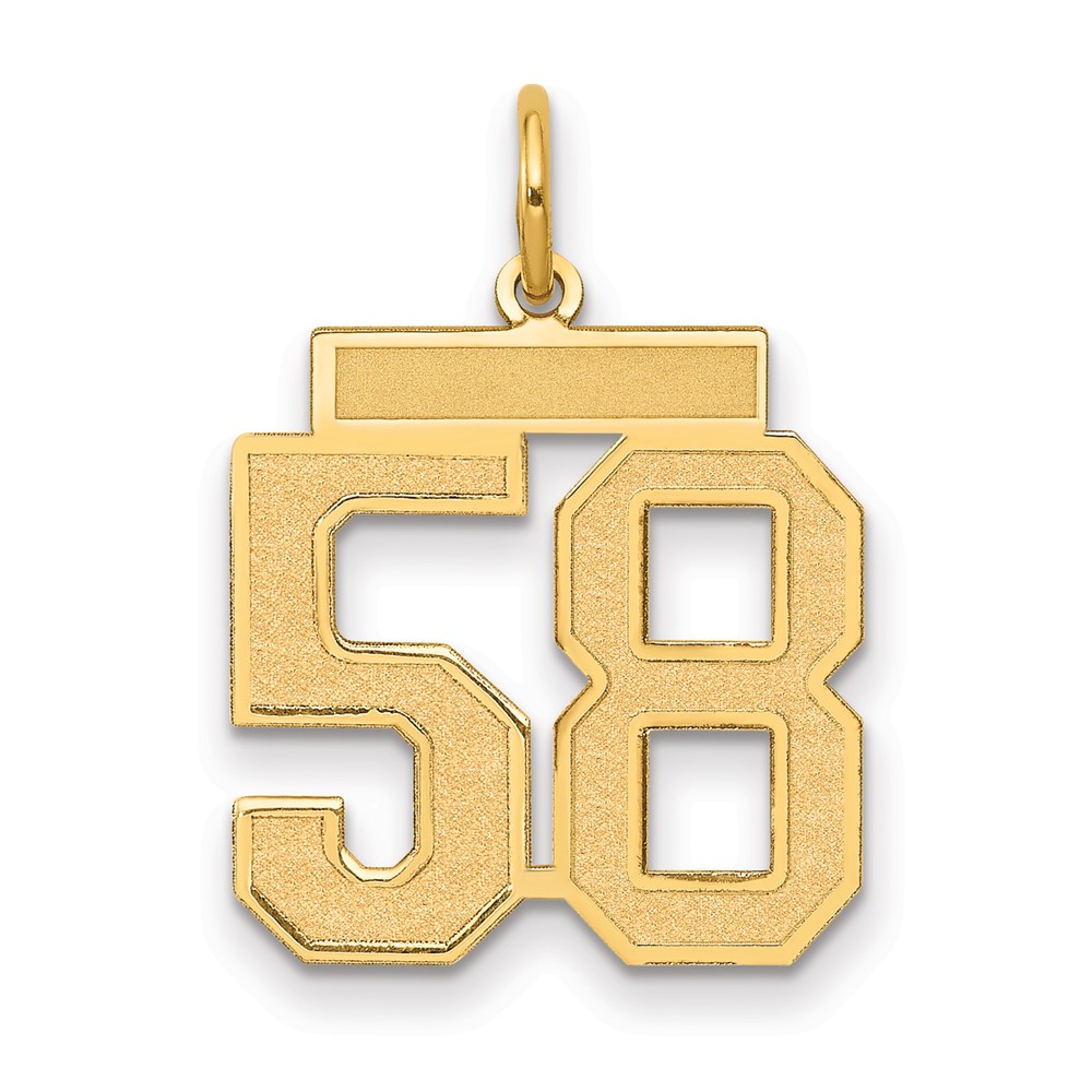 14K Yellow Gold Medium Satin Number 58 Charm