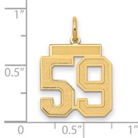 14K Yellow Gold Medium Satin Number 59 Charm view 2