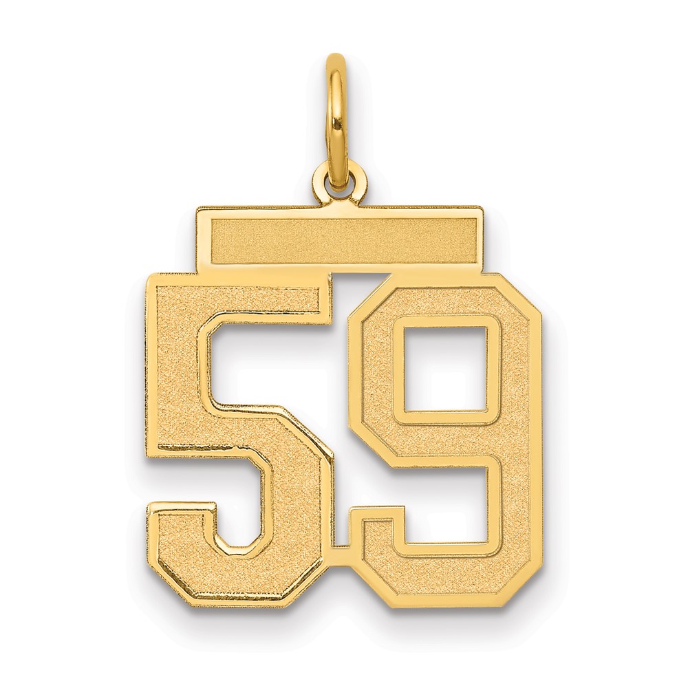 14K Yellow Gold Medium Satin Number 59 Charm