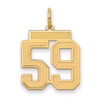 14K Yellow Gold Medium Satin Number 59 Charm view 1