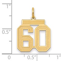 14K Yellow Gold Medium Satin Number 60 Charm view 2