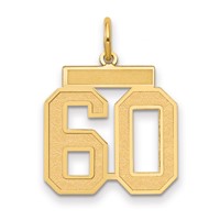 14K Yellow Gold Medium Satin Number 60 Charm view 1