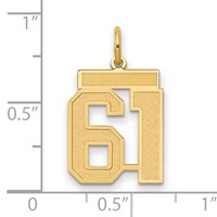 14K Yellow Gold Medium Satin Number 61 Charm view 2