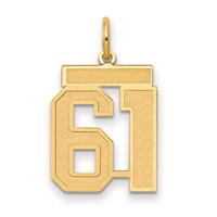 14K Yellow Gold Medium Satin Number 61 Charm view 1