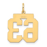 14K Yellow Gold Medium Satin Number 63 Charm view 3