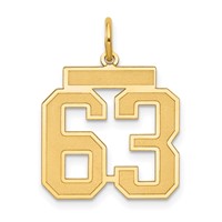 14K Yellow Gold Medium Satin Number 63 Charm view 1