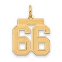 14K Yellow Gold Medium Satin Number 66 Charm view 1