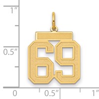 14K Yellow Gold Medium Satin Number 69 Charm view 2
