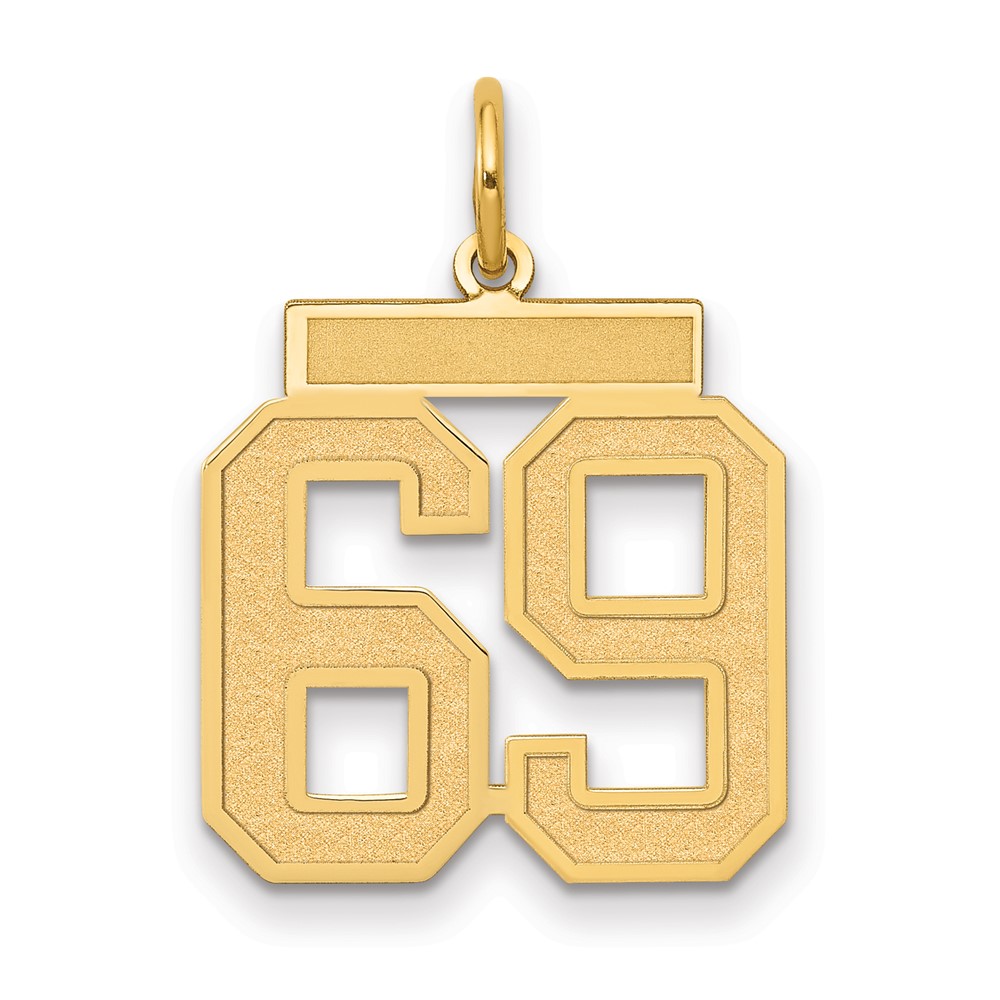 14K Yellow Gold Medium Satin Number 69 Charm