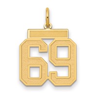 14K Yellow Gold Medium Satin Number 69 Charm view 1