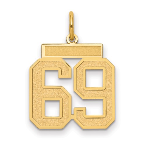 14K Yellow Gold Medium Satin Number 69 Charm