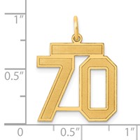 14K Yellow Gold Medium Satin Number 70 Charm view 4