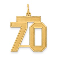 14K Yellow Gold Medium Satin Number 70 Charm view 1