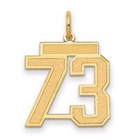 14K Medium Satin Number 73 Charm view 1