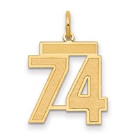 14K Yellow Gold Medium Satin Number 74 Charm view 1