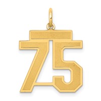 14K Yellow Gold Medium Satin Number 75 Charm view 1