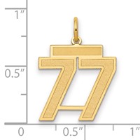 14K Yellow Gold Medium Satin Number 77 Charm view 2