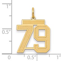 14K Medium Satin Number 79 Charm view 2