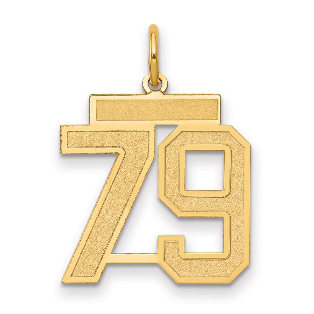 14K Medium Satin Number 79 Charm