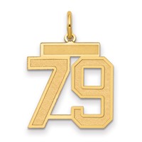 14K Medium Satin Number 79 Charm view 1