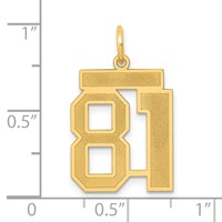 14K Yellow Gold Medium Satin Number 81 Charm view 3