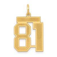 14K Yellow Gold Medium Satin Number 81 Charm view 1