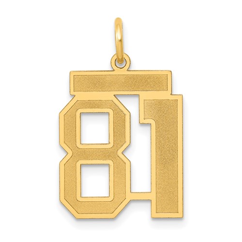 14K Yellow Gold Medium Satin Number 81 Charm
