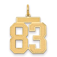 14K Yellow Gold Medium Satin Number 83 Charm view 1