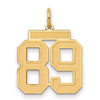 14K Yellow Gold Medium Satin Number 89 Charm view 1