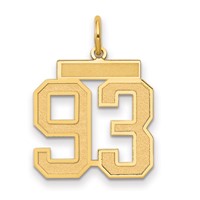 14K Yellow Gold Medium Satin Number 93 Charm view 1