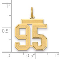 14K Yellow Gold Medium Satin Number 95 Charm view 2