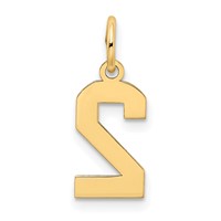 14K Small Satin Number 2 Charm view 3