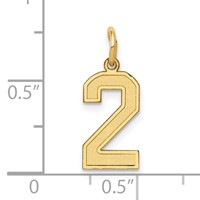 14K Small Satin Number 2 Charm view 4