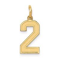 14K Small Satin Number 2 Charm view 1