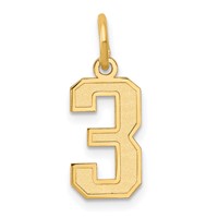 14K Yellow Gold Small Satin Number 3 Charm view 1