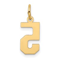 14K Yellow Gold Small Satin Number 5 Charm view 3