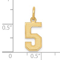 14K Yellow Gold Small Satin Number 5 Charm view 4