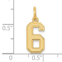 14K Small Satin Number 6 Charm view 4