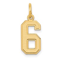 14K Small Satin Number 6 Charm view 1
