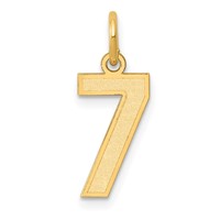 14K Yellow Gold Small Satin Number 7 Charm view 1