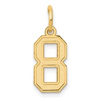 14K Yellow Gold Small Satin Number 8 Charm view 1