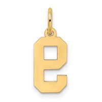 14K Small Satin Number 9 Charm view 3