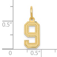 14K Small Satin Number 9 Charm view 4