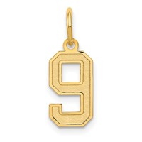 14K Small Satin Number 9 Charm view 1