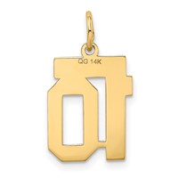 14K Yellow Gold Small Satin Number 10 Charm view 3