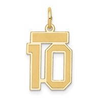 14K Yellow Gold Small Satin Number 10 Charm view 1