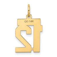 14K Yellow Gold Small Satin Number 12 Charm view 3